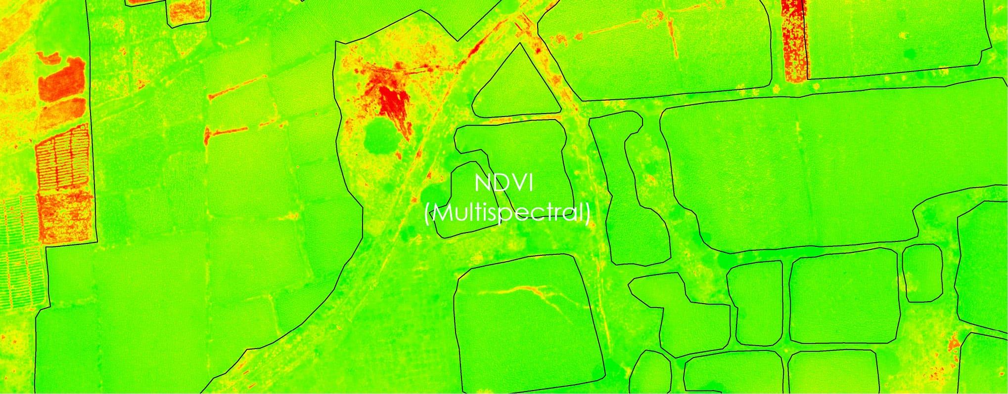 Crop health visualization thumbnail
